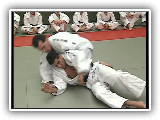 Judo : Progression de la ceinture orange, verte Ã  la ceinture marron - Nage Waza, Ne Waza