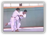 Jacques Seguin Techniques supÃ©rieures du judo part 1